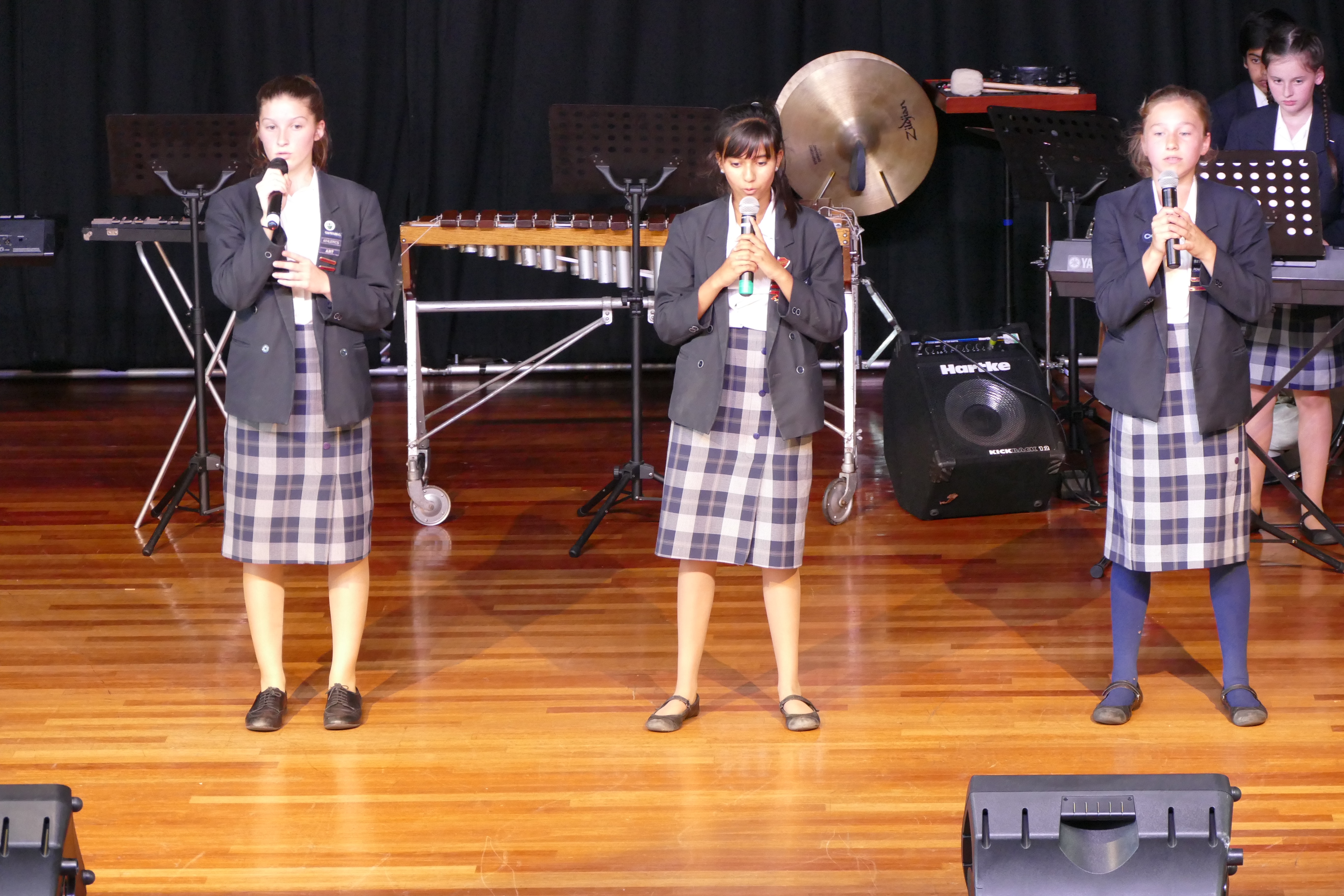 Summer Concert, 17th June 2016
